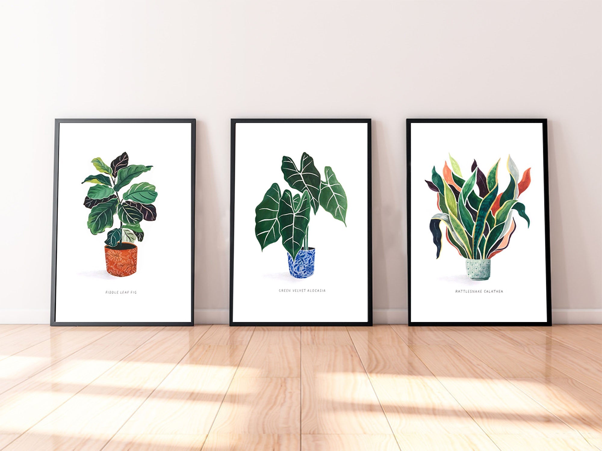 3 Plant Prints