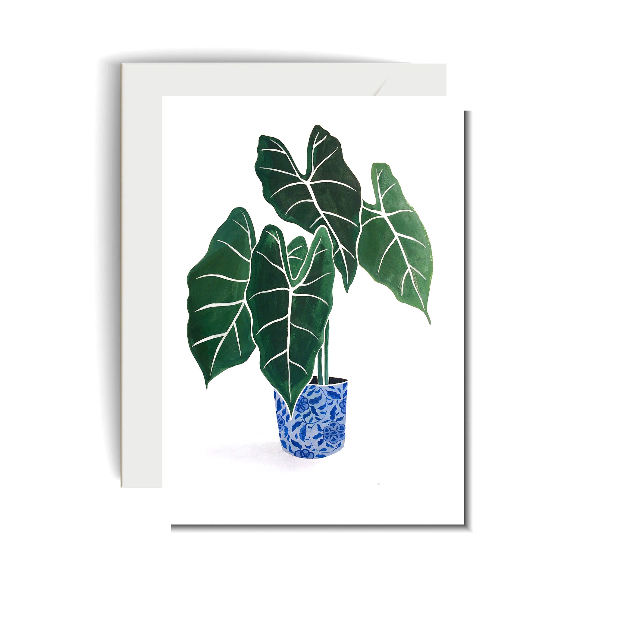 Everyday Card