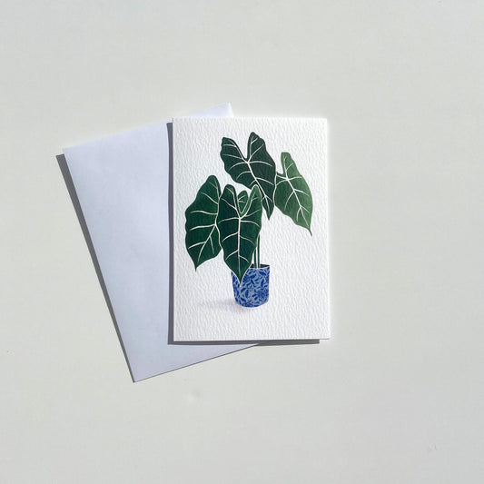 Alocasia Card